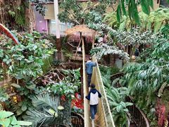 -正佳雨林生态植物园