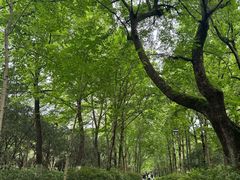 -杭州植物园