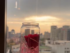 -海底捞火锅(赛格国际购物中心店)