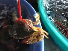 -花乐餐厅(涠洲岛店)