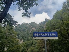 -王顺山国家森林公园