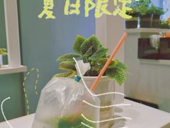 苏梅传统柠檬绿茶-SamuiTea苏梅(上海首店)