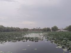 -长春市南湖公园