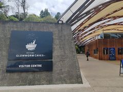 -怀托摩萤火虫洞