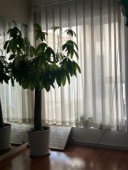-伽尔瑜伽普拉提工作室