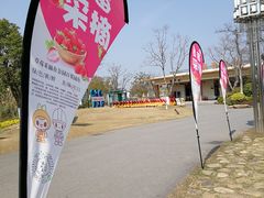 -上海长兴岛郊野公园