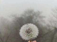 -终南山南五台景区