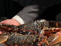 -Oyster Talks 四度蚝法餐厅