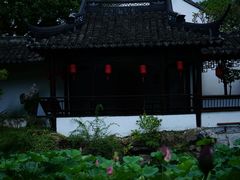 -上海醉白池公园