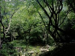-洛阳花果山景区