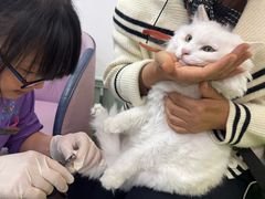 -北京观赏动物医院·24小时大型综合·猫专科·异宠专科