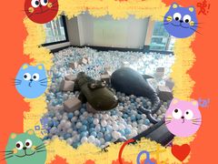 -Barbe a papa亲子餐厅(杨浦店)