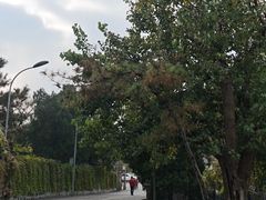 -中国第四纪冰川遗迹陈列馆