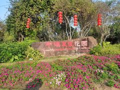 -中澳友谊花园