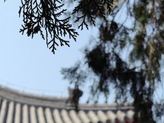-妙应寺白塔