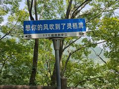 -灵栖洞天