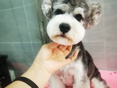 -宠福鑫康馨动物医院·骨科·眼科