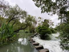 -花溪公园