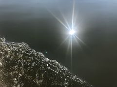 -白洋淀景区