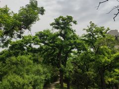 -元大都城垣遗址公园