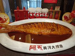 -阿五黄河大鲤鱼(纬三路店)