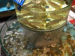 -强记海鲜·大排档(蛇口新街店)