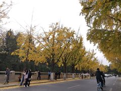-海盗虾饭·剥好的小龙虾饭(上地辉煌店)