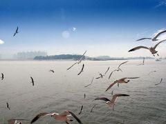 -仁川港国际客运码头