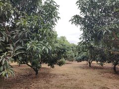 -中国移动南方基地