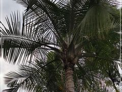 -云溪植物园