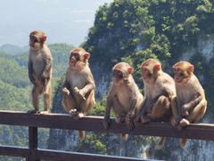 -重庆云阳龙缸景区