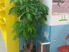 -乐博乐博少儿编程·乐高机器人编程·信息学竞赛(天虹校区)