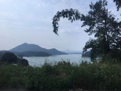-广州市流溪河国家森林公园