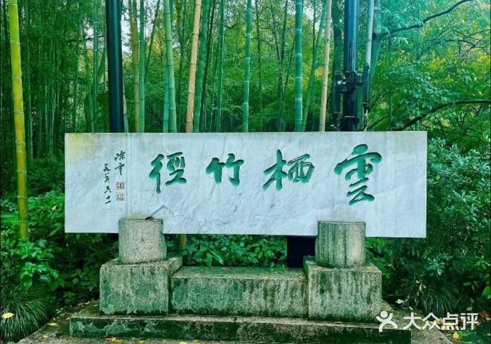 云栖竹径图片