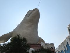 -杭州长乔极地海洋公园