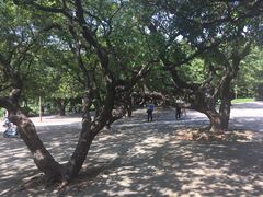 -四海公园(南山区)