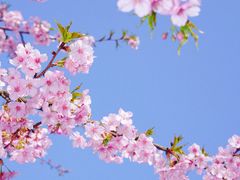-上海辰山植物园