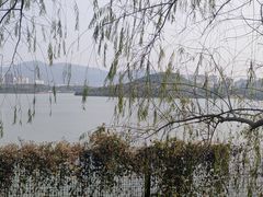 -立新湖公园