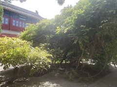 -大钟寺古钟博物馆