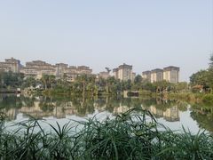 -枫香湖儿童公园