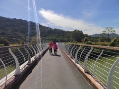 -风云岭森林公园