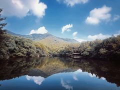 -杭州半山国家森林公园