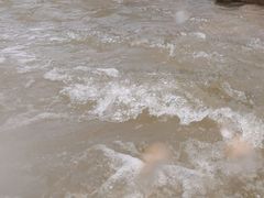 -白浪花漂流