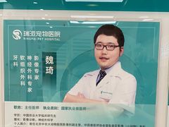 -瑞派中心宠物医院·CT·核磁·神经专科