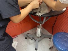 -瑞派·爱瑞可动物医院·口腔专科(广华新城分院)