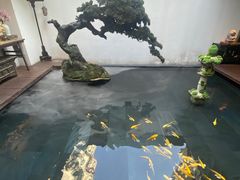 -觀芷隐轩