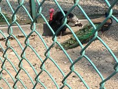 -南京金牛湖风景区