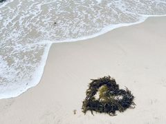 -玫瑰海岸文化旅游度假区