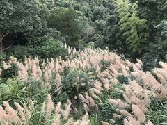 -影珠山