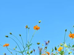 -洋湖国家湿地公园